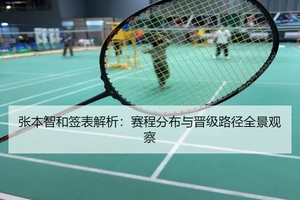 张本智和签表解析：赛程分布与晋级路径全景观察
